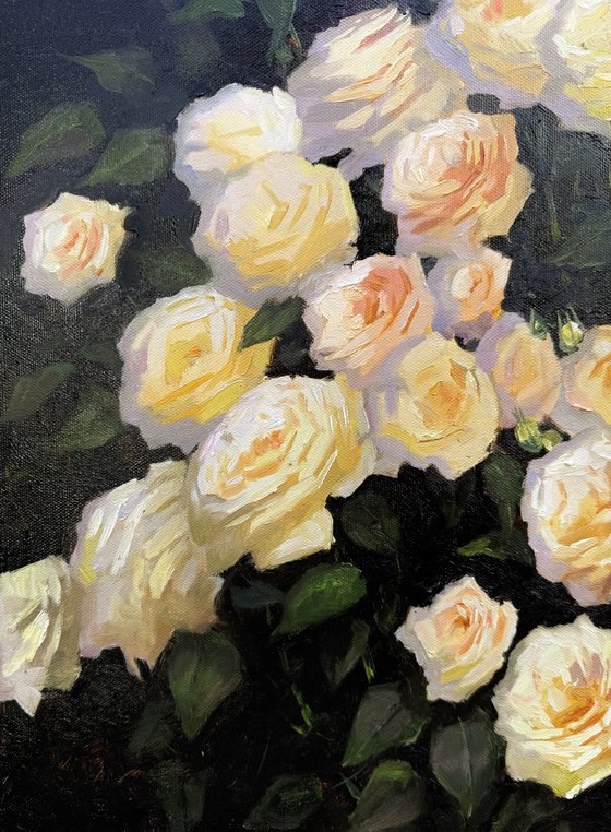 Yellow and Peach Roses
