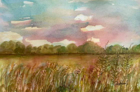 Grassy meadow, Bourton, Dorset