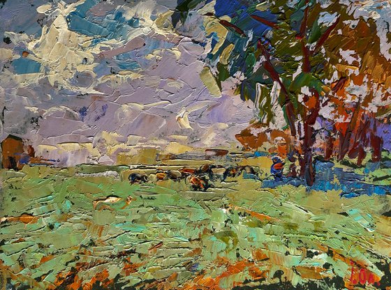 Shepherd in the field