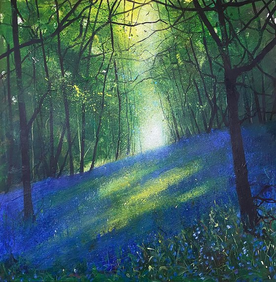 Light through Spring Bluebell Woodland