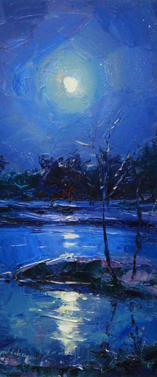 "Moon night" by Alisa Onipchenko-Cherniakovska