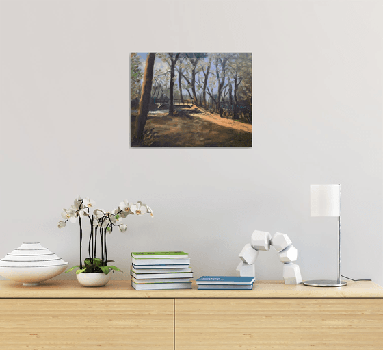 New forest walkers