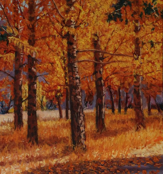 A Symphony of Autumn Aspens