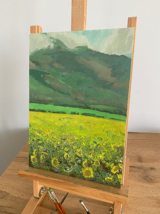 Sunflower Valley