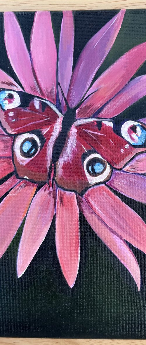 Pretty butterfly on flower by Bethany Taylor