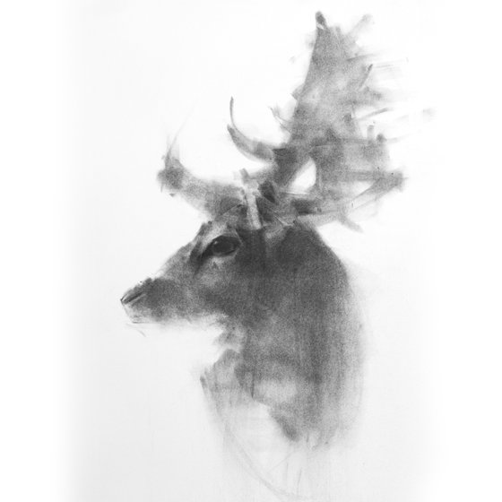 stag II