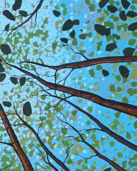 Canopy