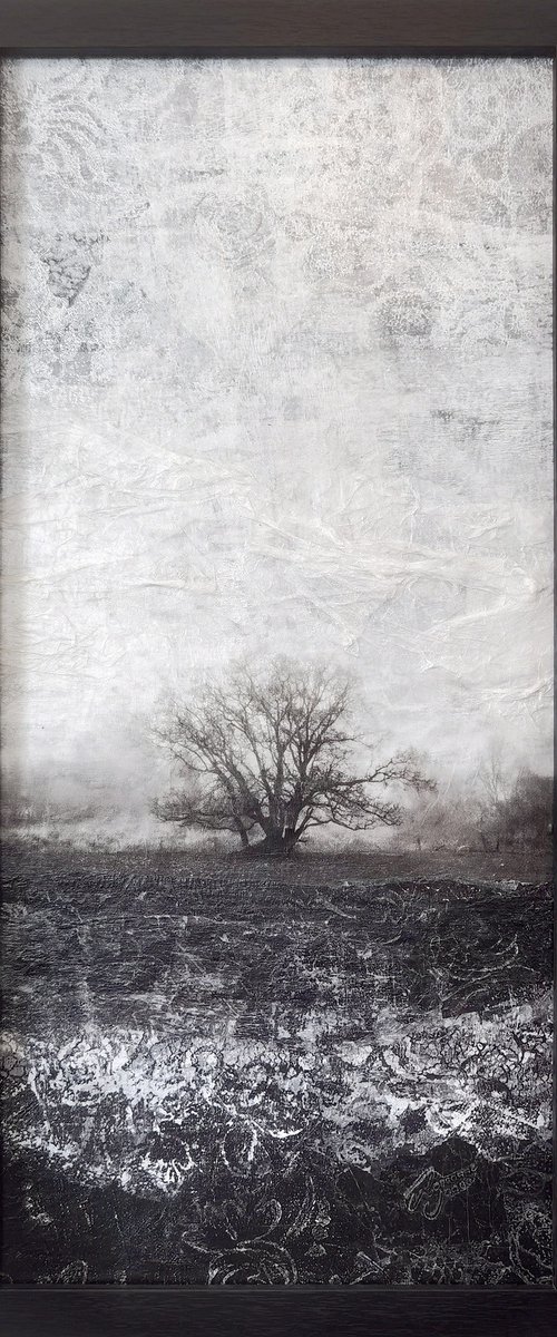 Threshold by Roseanne Jones