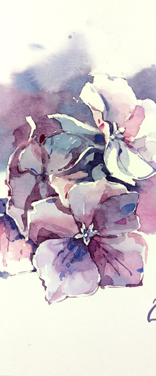 "Twilight hydrangea" Original watercolor sketch by Ksenia Selianko