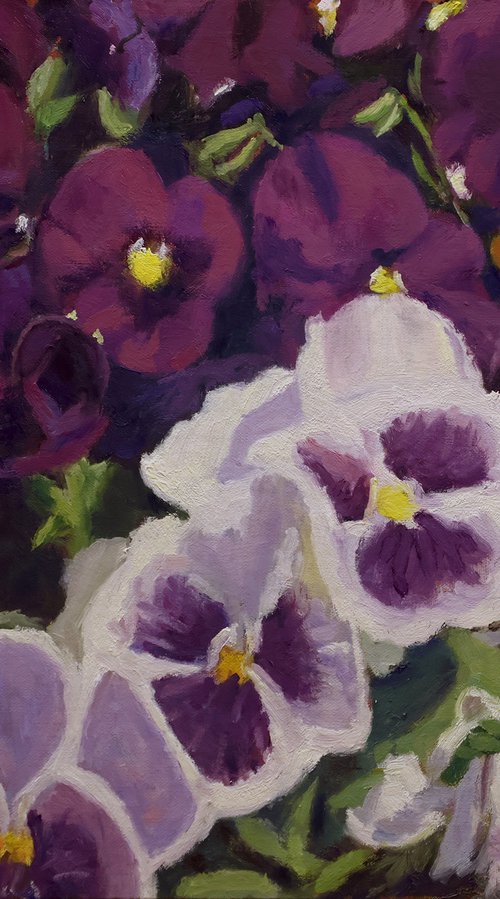 Fancy Pansies by Daniel Fishback