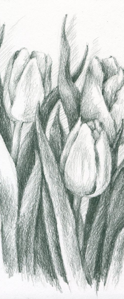 Three Tulips by Vio Valova