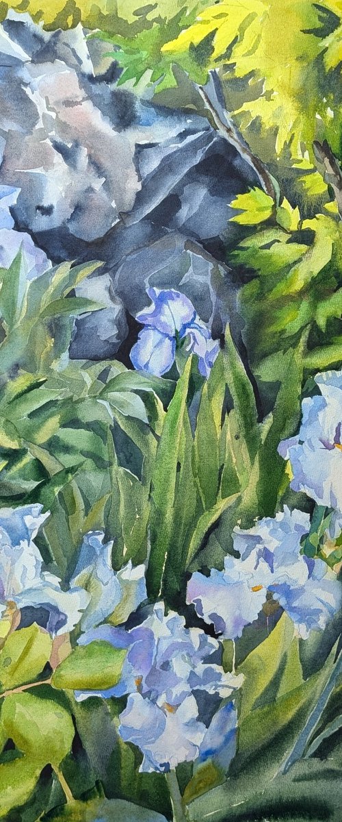 Front garden by Yurii Pashkov