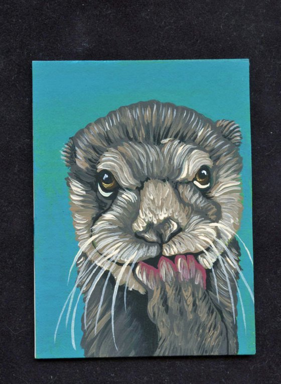 ACEO ATC Original Miniature Painting River Otter Wildlife Art-Carla Smale