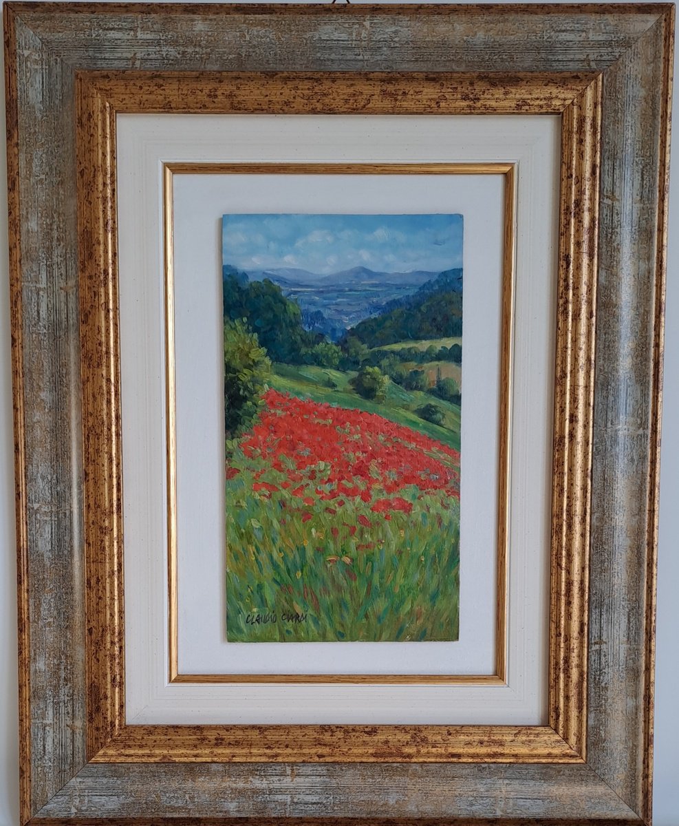 Impressionistic Botanical Oil Painting By Claudio Ciardi, 14 X 18, Field Of Poppies In Tuscany, Original Artwork