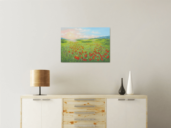 Poppy field in summer 5