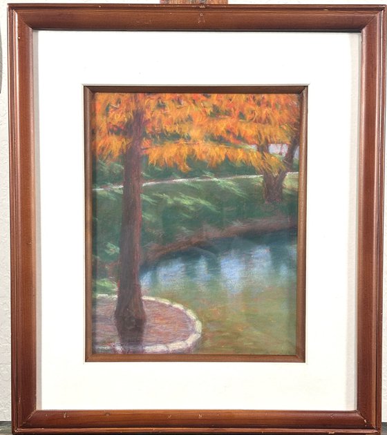 Autumn Cypress Tree