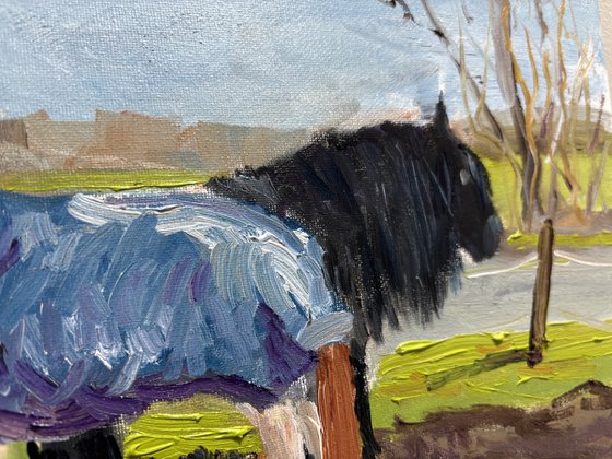 Grazing Horses in the Dutch Countryside