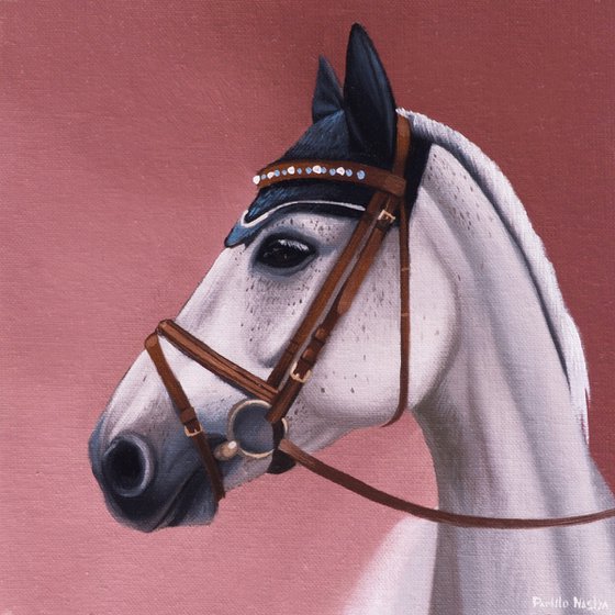 Horse Portrait 86