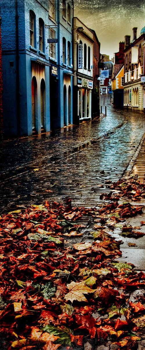Autumn Lane by Martin  Fry