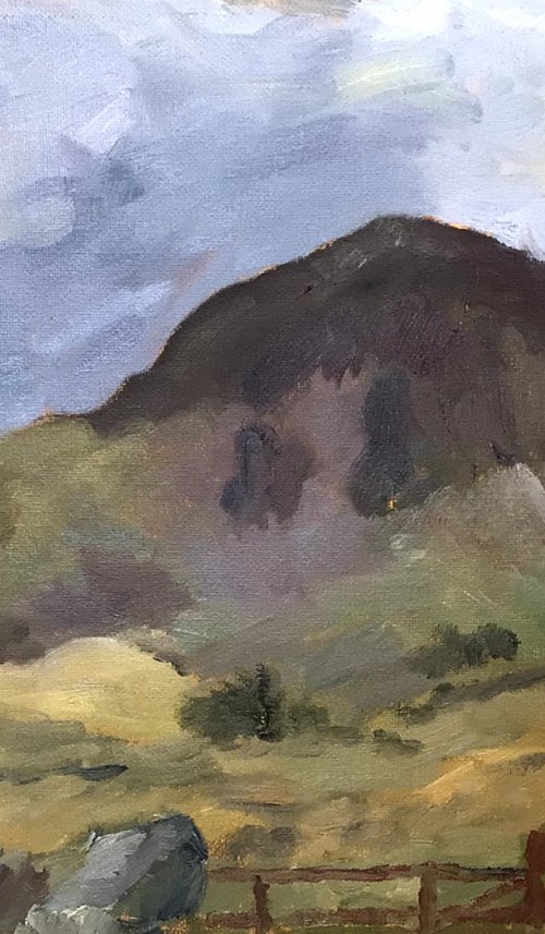 Mountains above Ffestiniog, An original oil painting. by Julian Lovegrove Art