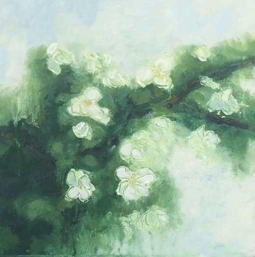 Through the garden - white 1 by Cecilia Virlombier