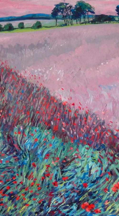 Wild Flowers Along The Edge Of A Field, Fife by Stephen Howard Harrison