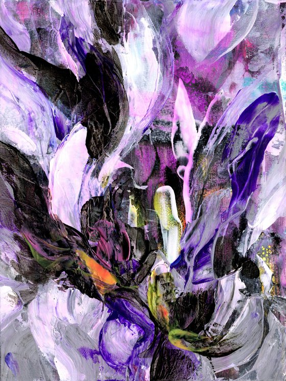 Organic Rhythm Collection 1