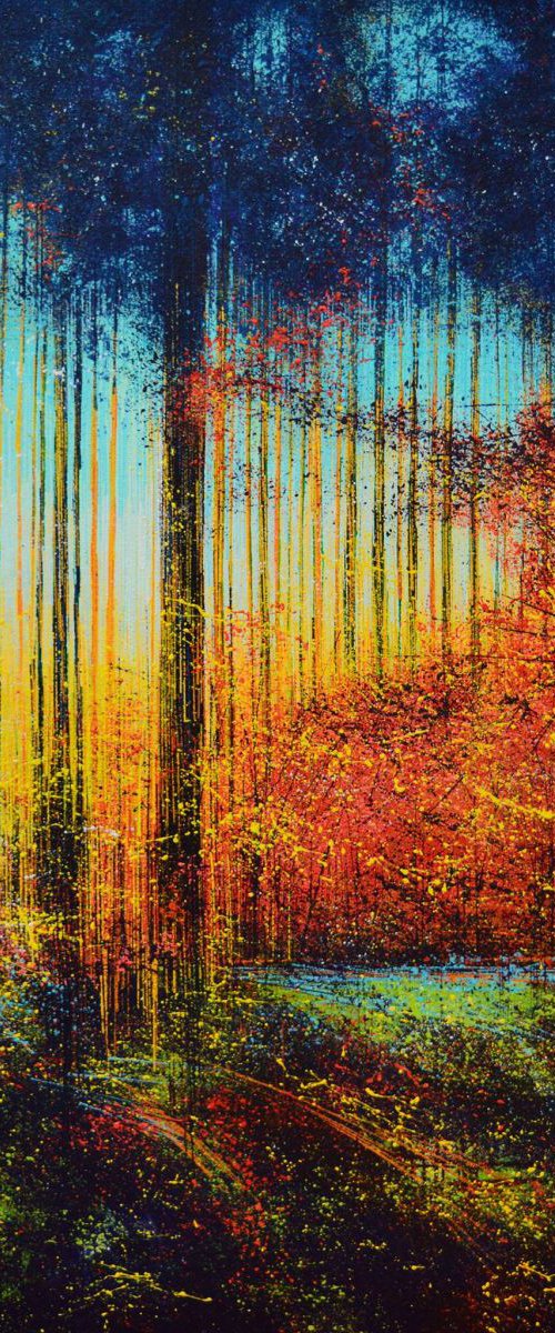 Sunlight through the trees by Marc Todd