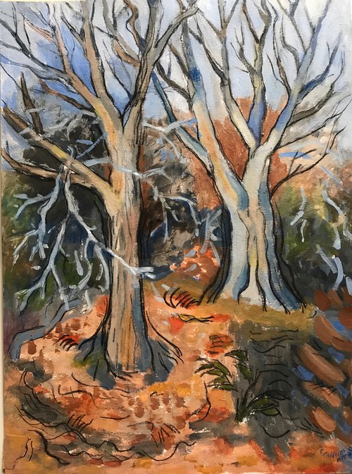 Winter Trees by Christine Callum  McInally