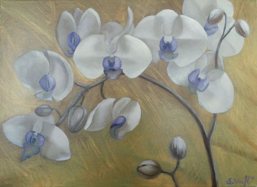 `White orchids in gold` by Sandra Gotautaite