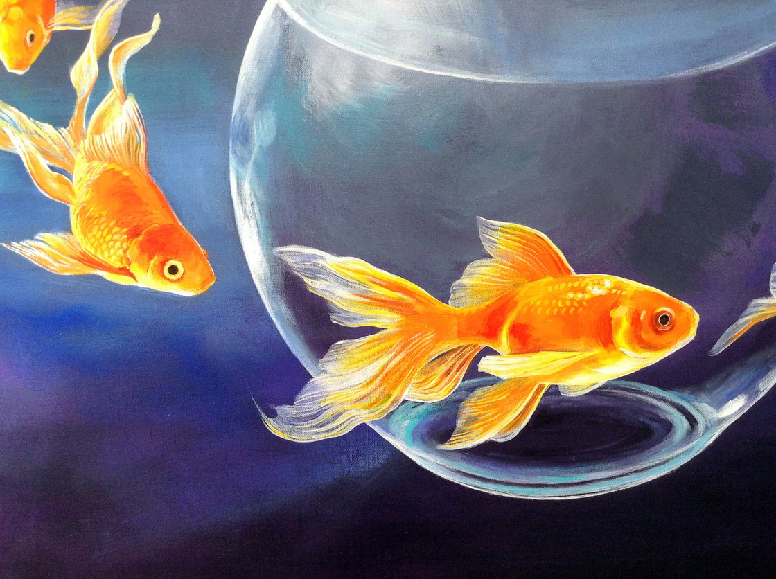 Goldfish Gigantica Acrylic painting by Daniel Loveday | Artfinder