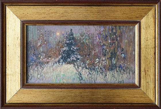 A spruce on a winter boulevard at night