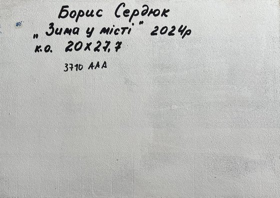 After the Night Snowstorm