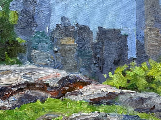 Rocks and Towers. Central Park