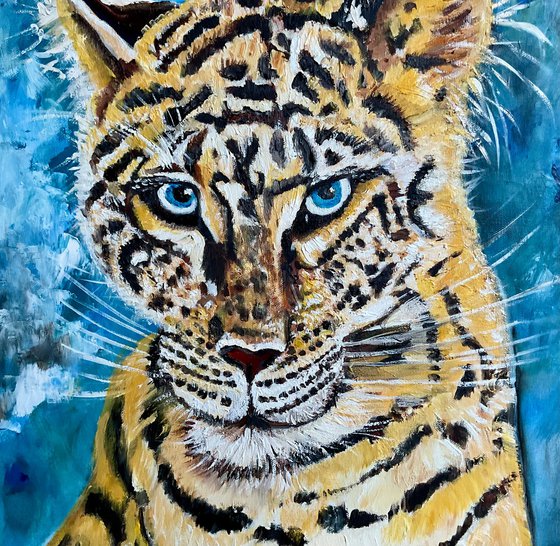 Leopard . Blue  eyes.
