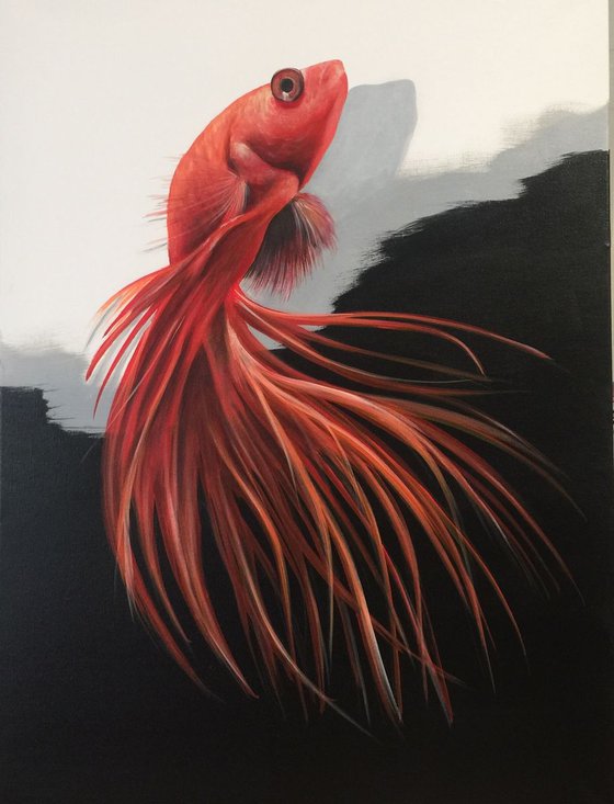 goldfish. Eka Peradze Art