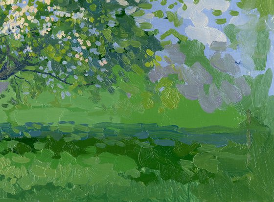 Blooming apple tree