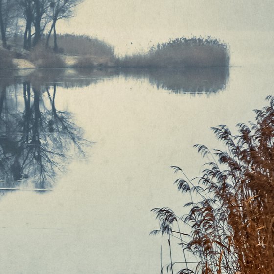 Foggy morning on the lake.