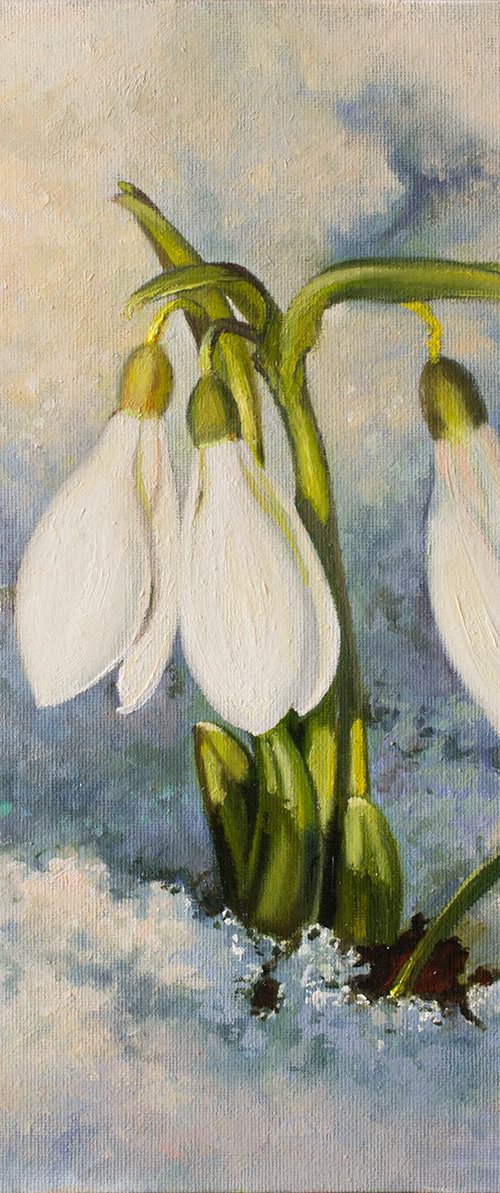 Snowdrops by Anna Bessonova (Kotelnik)