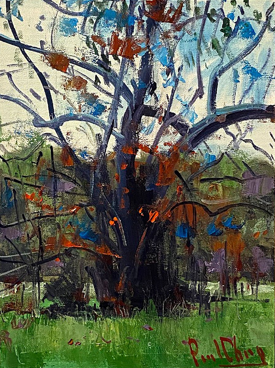 Casper Park, Ca#6 By Paul Cheng, 9 X 12, Artwork For Sale On Artfinder