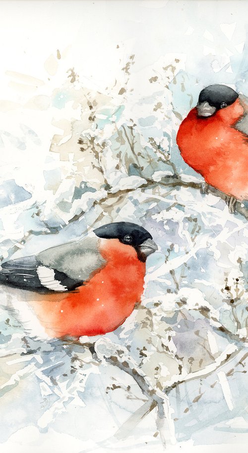 Bullfinches, winter watercolor of european birds by Karolina Kijak