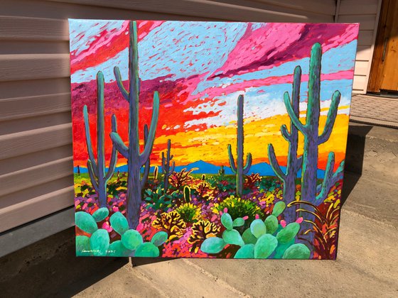 Colourful desert. Sunset