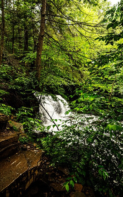 Slippery when wet by David Huntzinger