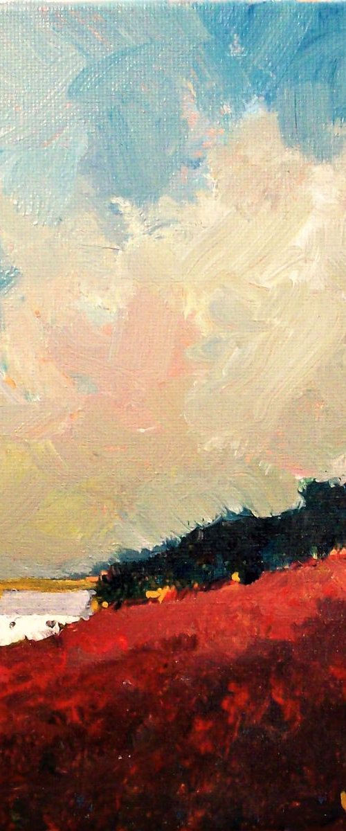 Rain Showers by David J Edwards