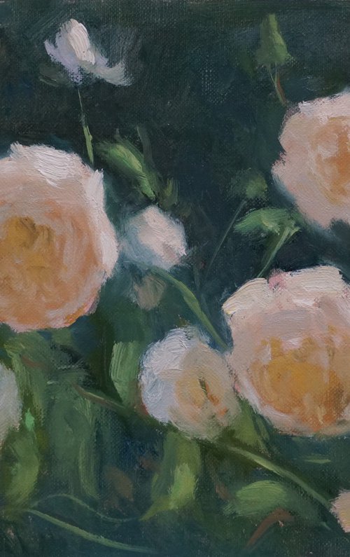 Roses in Afternoon Light by Alex James Long