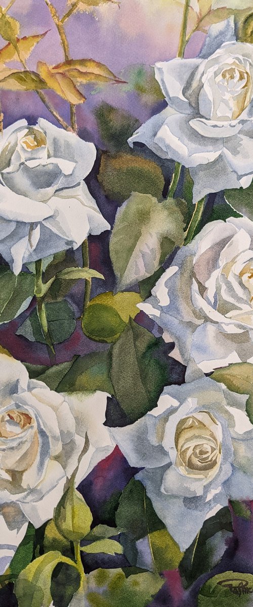 White Roses#2 by Yurii Pashkov