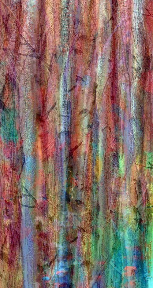 Rainbow Forest by Robin Clarke