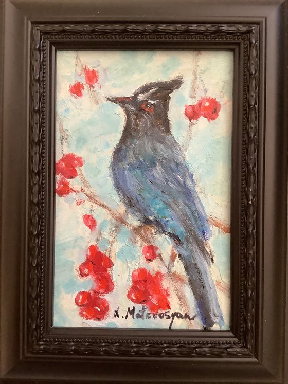 Blue Jay