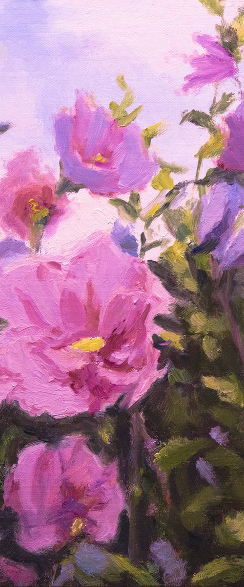 Purple Rose of Sharon Blossoms by Daniel Brian Fishback