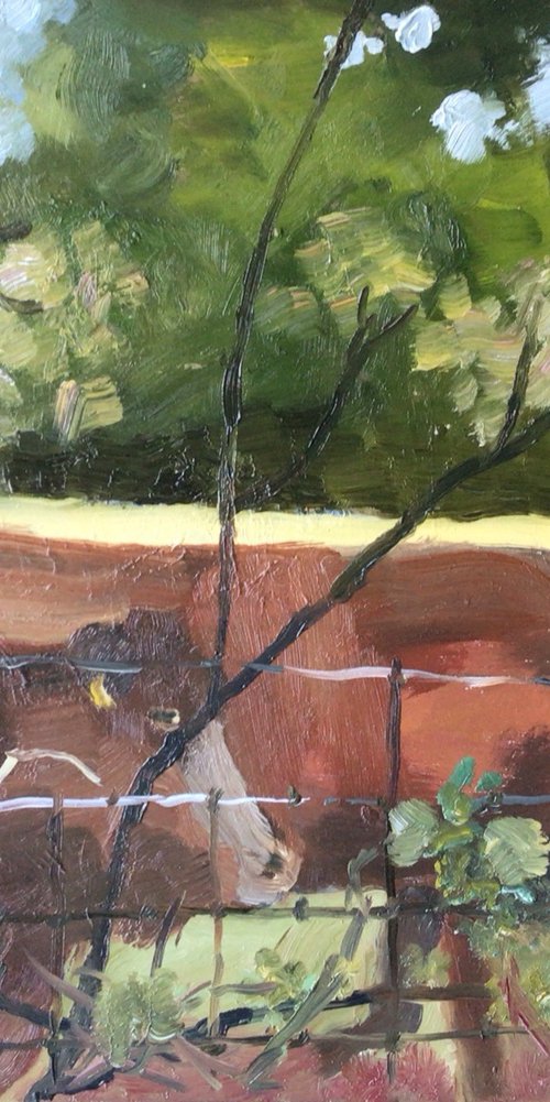 Feeding time by Julian Lovegrove Art
